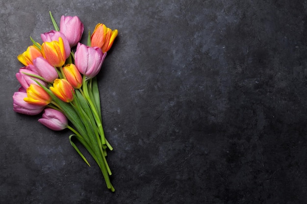 Fleurs de tulipes colorées fraîches