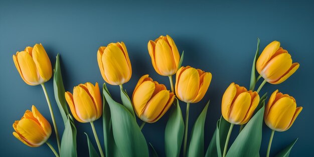 Fleurs de tulipes jaunes sur fond bleu