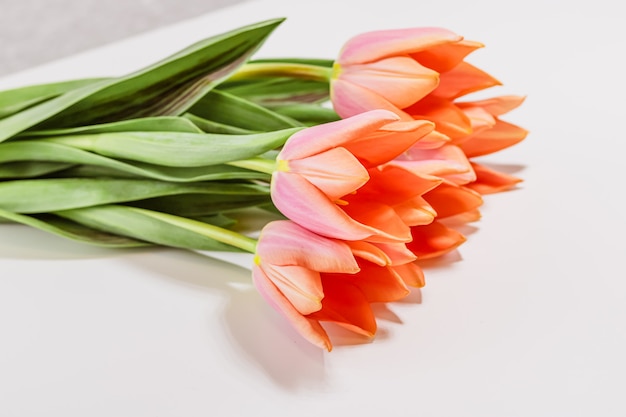 Photo fleurs de tulipes sur une lumière