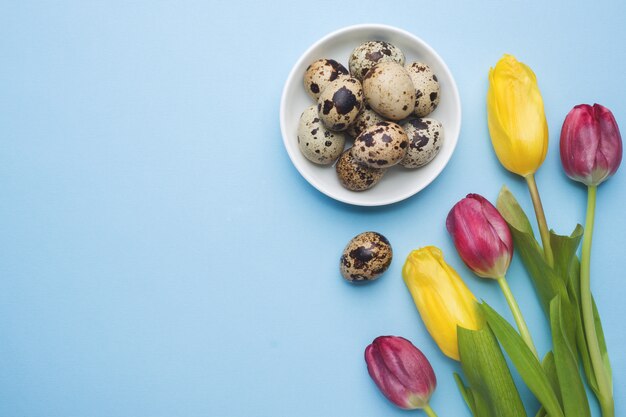 Fleurs tulipes et oeufs de caille