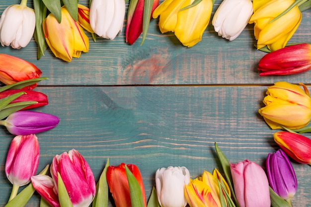 Fleurs de tulipes printanières colorées sur fond de cadre en bois vert