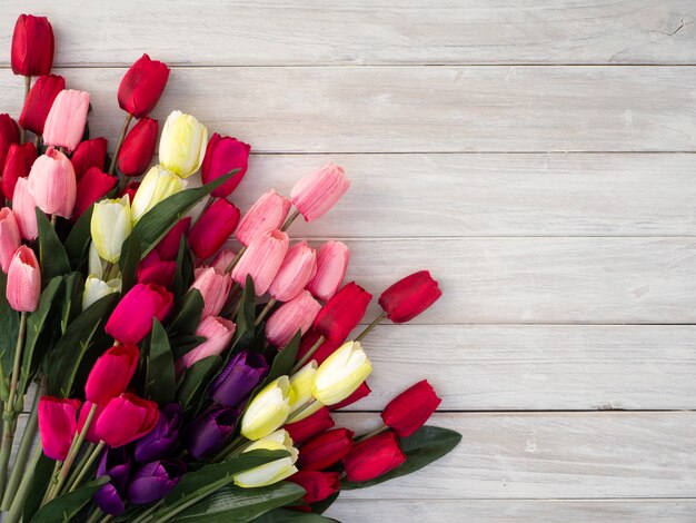 Fleurs de tulipes printanières sur un vieux bois