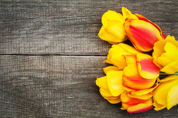 Photo fleurs de tulipes printanières