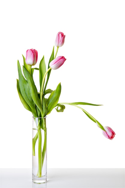 Fleurs de tulipes roses fraîches sur vase