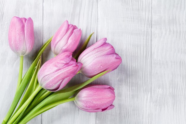 Fleurs de tulipes roses fraîches