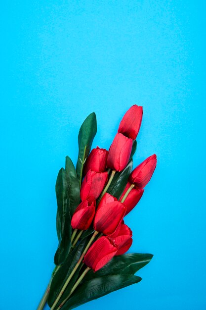 Fleurs de tulipes rouges sur fond bleu