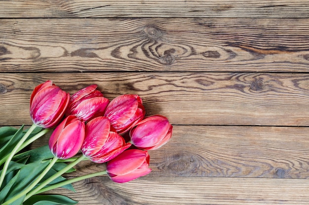 Fleurs de tulipes rouges sur des planches en bois