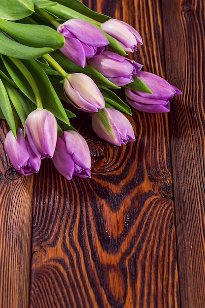 Fleurs de tulipes violettes