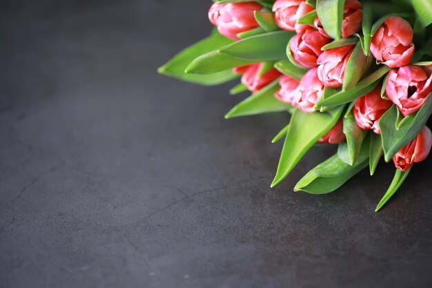 Fleurs, vacances de printemps et concept de décoration d'intérieur - Bouquet de belles tulipes, fond floral