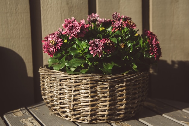 Fleurs violettes dans un panier rond en osier sur une table en bois lumière naturelle et ombres