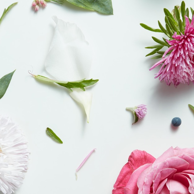 Fleurs violettes, fleurs roses, fleurs blanches sur surface blanche