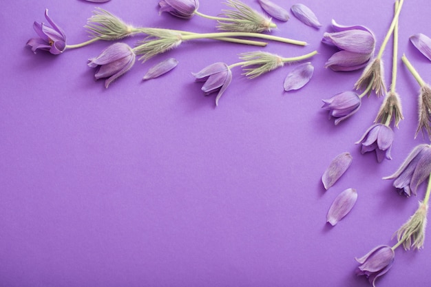 Fleurs violettes sur fond de papier