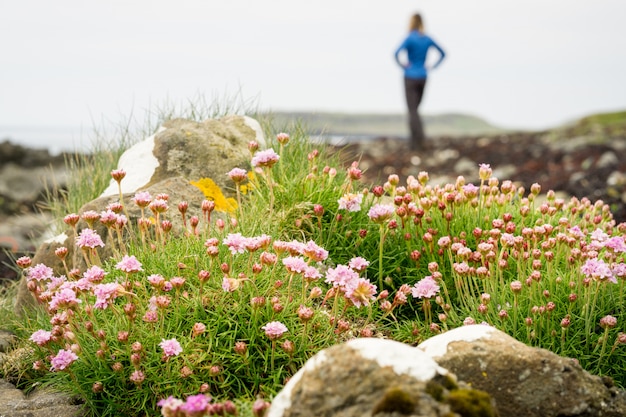 Fleurs violettes à la plage avec une femme