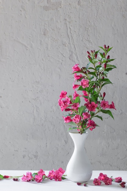 Fleurs Weigela Dans Un Vase Blanc Sur Mur Blanc