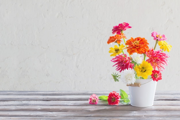 Fleurs de Zinnia dans un seau sur fond blanc