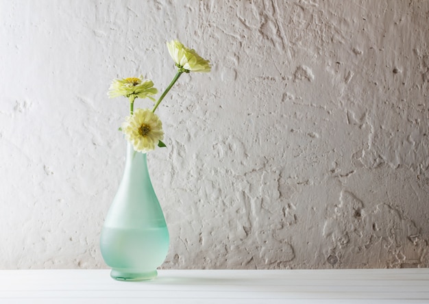 Fleurs de Zinnia sur fond blanc