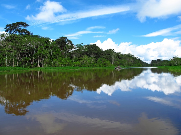 Photo le fleuve amazone au pérou, en amérique du sud
