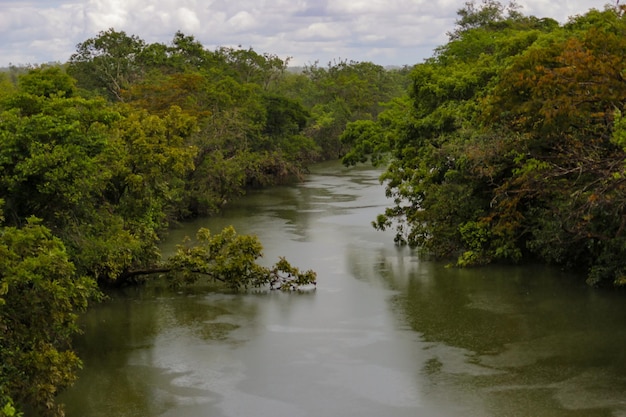 Fleuve Amazonique