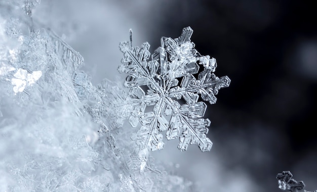 Flocon de neige sur la congère naturelle Close Up Christmas and Winter Background