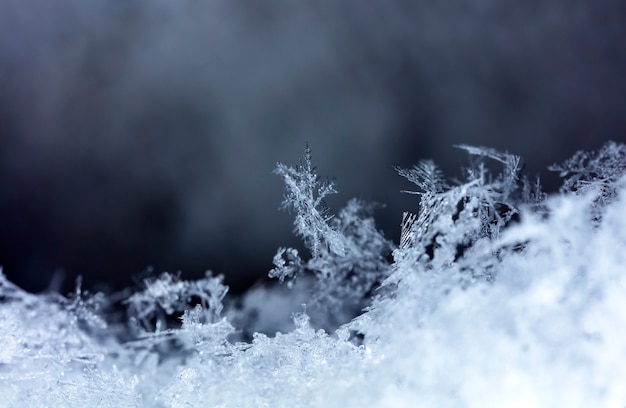 Flocon de neige sur la congère naturelle Close Up Christmas and Winter Background