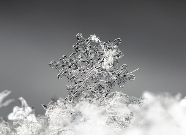 Flocon de neige sur la congère naturelle Close Up Christmas and Winter Background