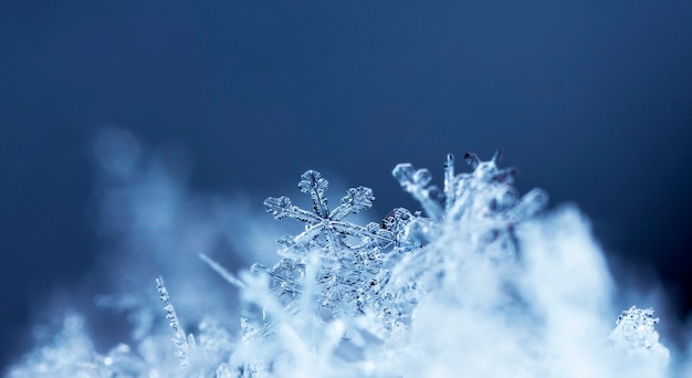 Flocon de neige sur la congère naturelle Close Up Christmas and Winter Background