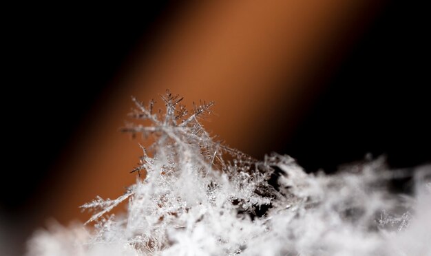 Flocon de neige sur la congère naturelle Close Up Christmas and Winter Background