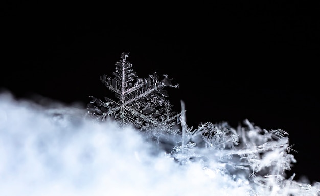 Flocon de neige sur la congère naturelle Close Up Christmas and Winter Background