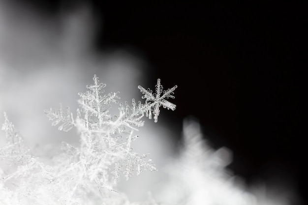 Flocon de neige sur la congère naturelle Close Up Christmas and Winter Background