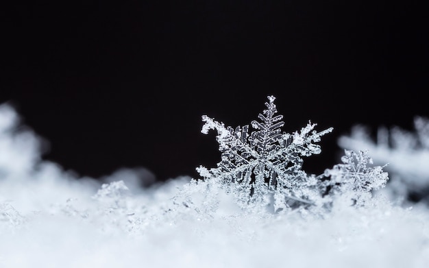 Flocon de neige sur la congère naturelle Close Up Christmas and Winter Background