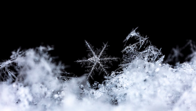 Flocon de neige sur la congère naturelle Close Up Christmas and Winter Background