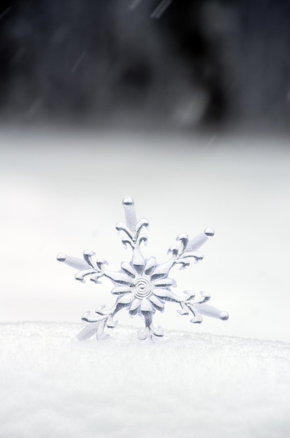 Flocon de neige dans une neige blanche