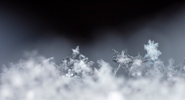 Flocon de neige dans la saison d'hiver de neige