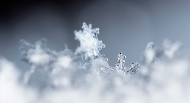 Photo flocon de neige dans la saison d'hiver de neige