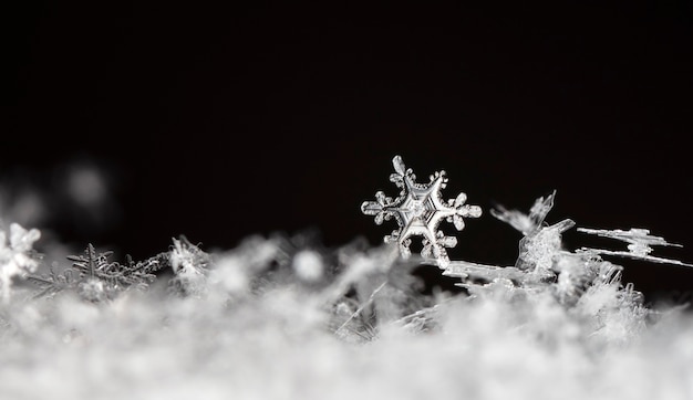 Photo flocon de neige dans la saison d'hiver de neige