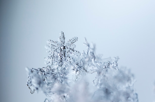 Flocon de neige dans la saison d'hiver de neige