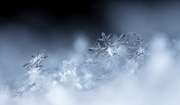 Flocon de neige dans la saison d'hiver de neige