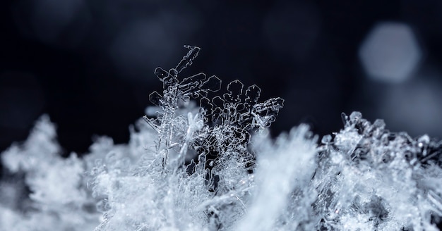 Flocon de neige dans la saison d'hiver de neige