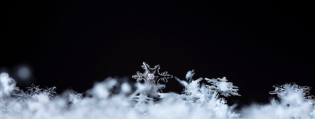 Flocon de neige dans la saison d'hiver de neige