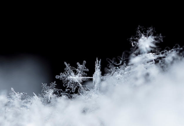 Flocon de neige dans la saison d'hiver de neige