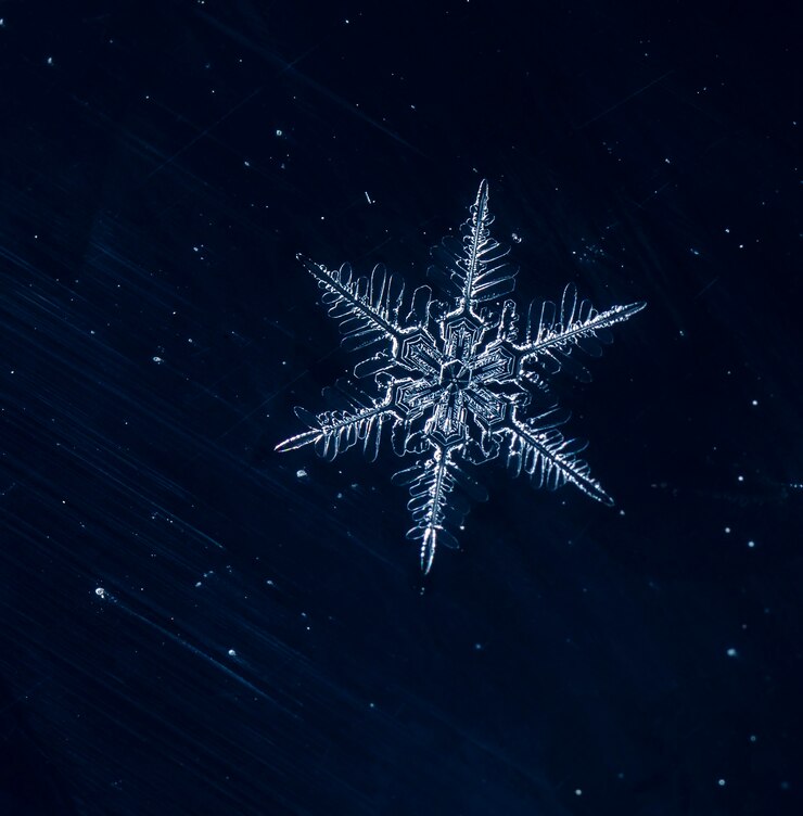Photo flocon de neige lors d'une chute de neige