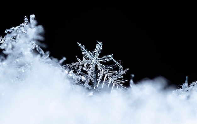 Flocon de neige sur la neige Vacances d'hiver et fond de Noël