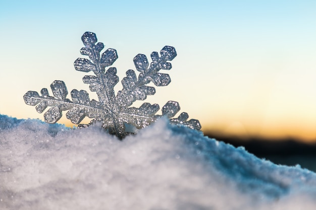 Flocon de neige de Noël dans la neige au coucher du soleil