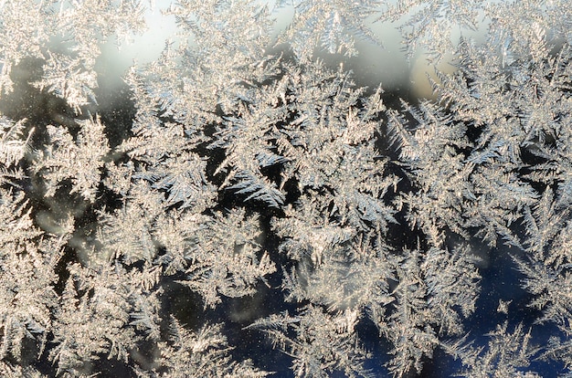 Flocons de neige givre sur la vitre de la fenêtre