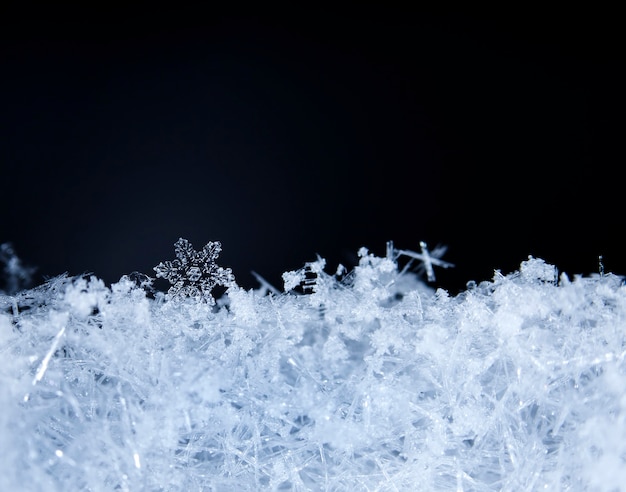 Flocons de neige d'hiver dans la neige