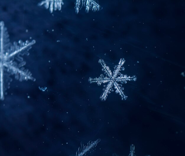 Flocons de neige lors d'une chute de neige