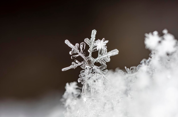 flocons de neige naturels sur la neige hiver