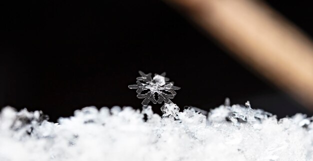 flocons de neige naturels sur la neige hiver