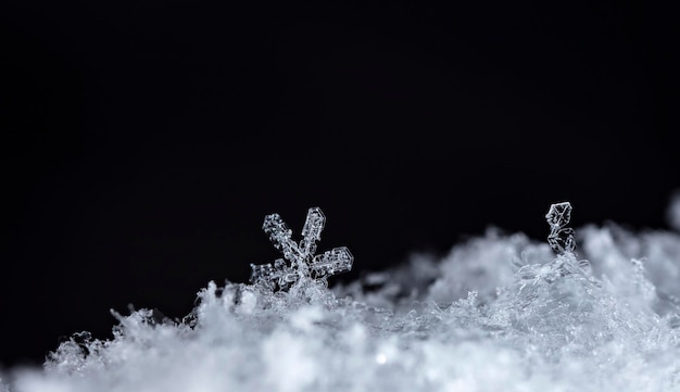 flocons de neige naturels sur la neige hiver