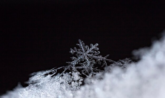 flocons de neige naturels sur la neige hiver